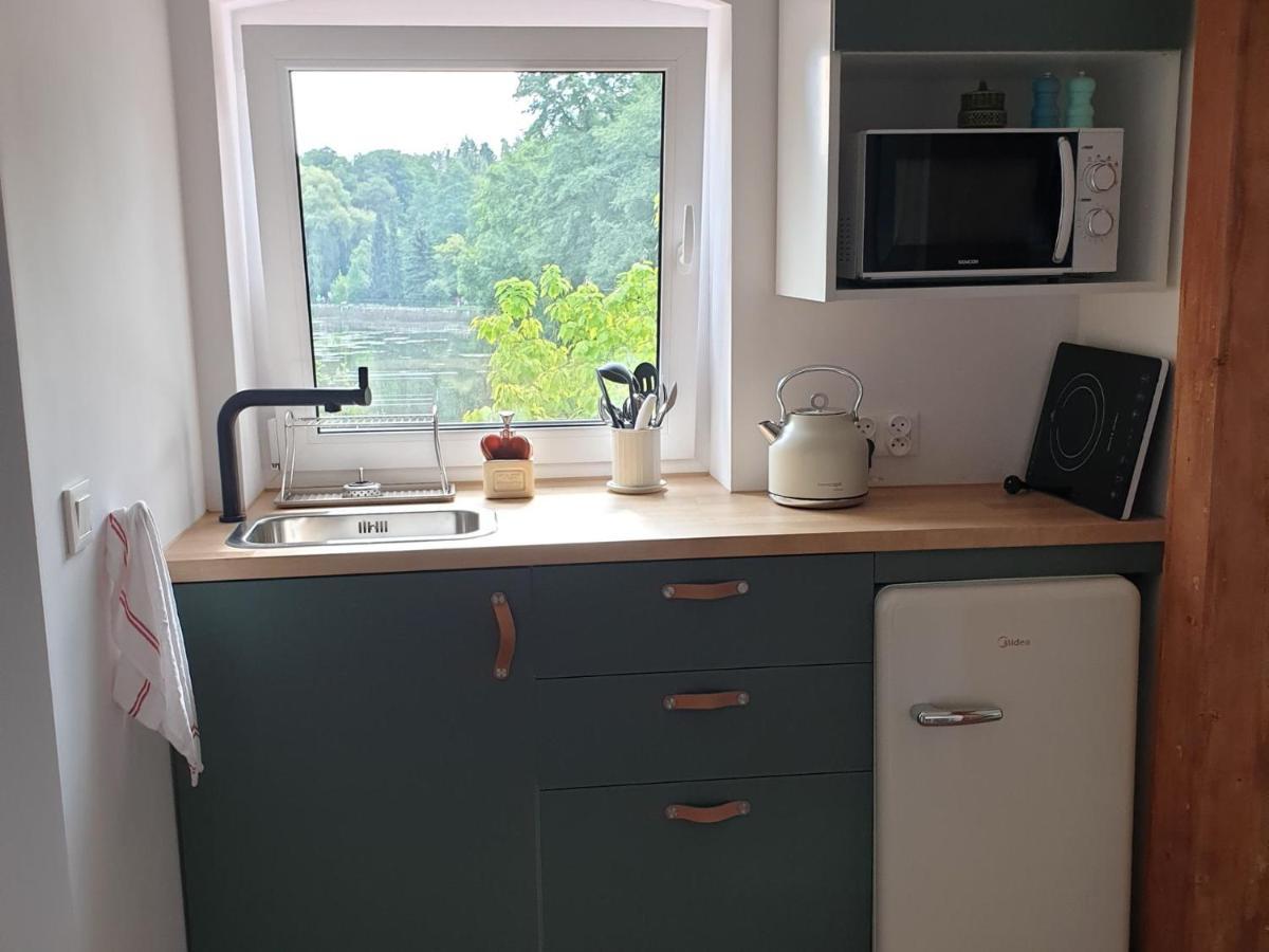 Apartament Przy Stawie Zdrojowym Kudowa-Zdrój Extérieur photo